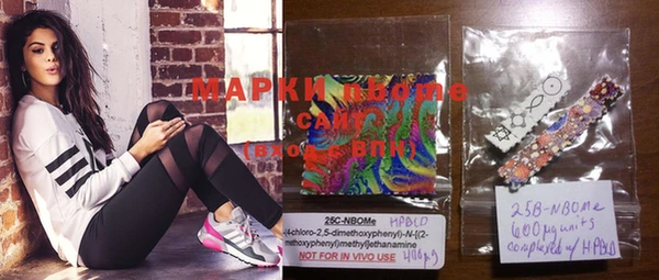 прущие грибы Алзамай