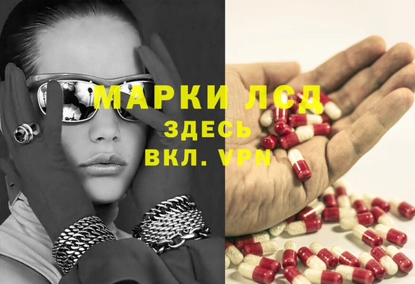 прущие грибы Алзамай