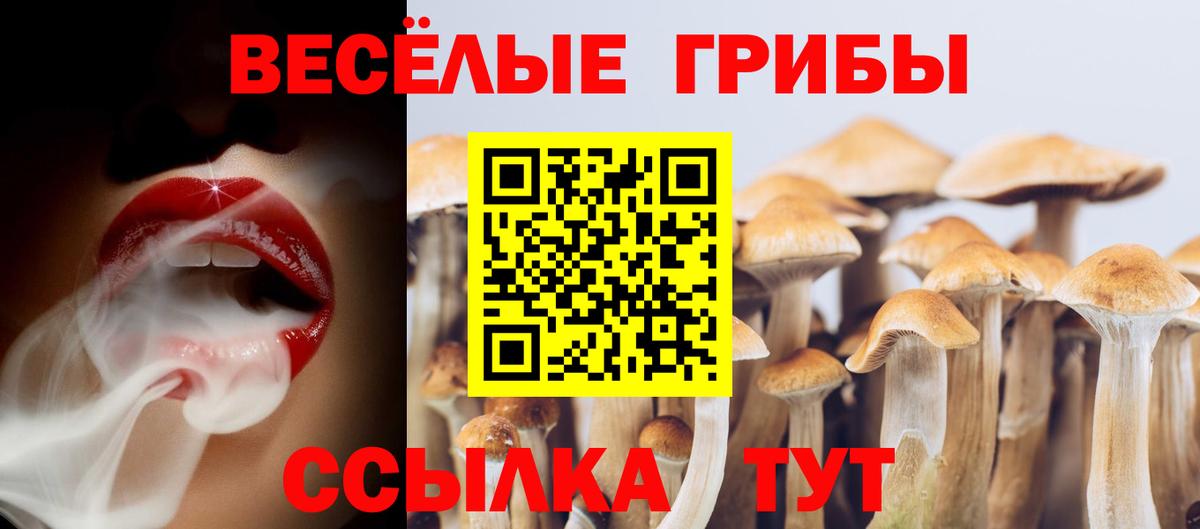 Галлюциногенные грибы ЛСД Еманжелинск